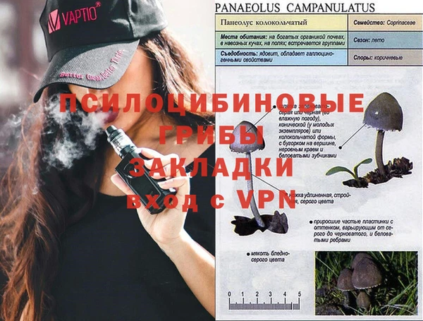 кокаин колумбия Алексин