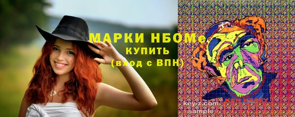гашик Алзамай